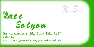 mate solyom business card